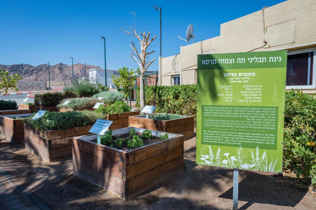 Eilot Kibbutz Country Lodging Eilat Eksteriør bilde