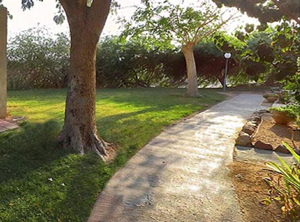 Eilot Kibbutz Country Lodging Eilat Eksteriør bilde