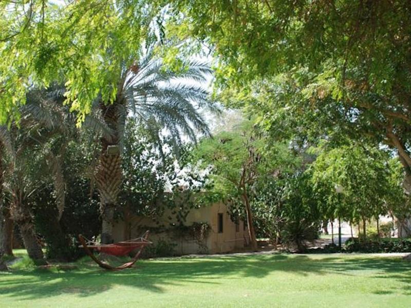 Eilot Kibbutz Country Lodging Eilat Eksteriør bilde